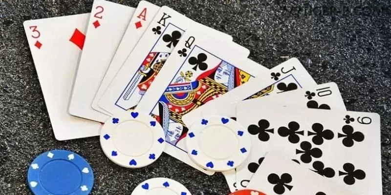 Guia rápido de apostas ao vivo na 777tiger
